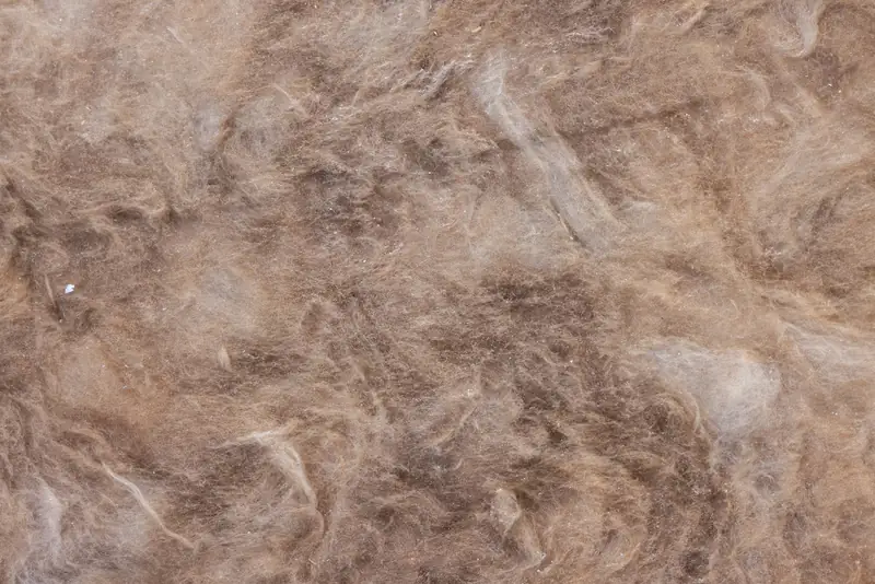 Gros plan sur des fibres isolantes
