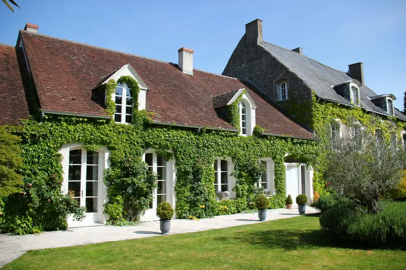 Maison ancienne à lucarnes couverte de lierre, toit de tuiles brunes